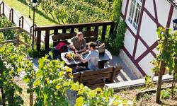 Pause in den Herzöglichen Weinbergen