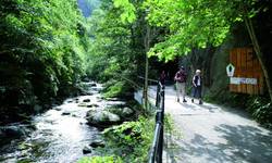 Wandern auf dem Selketal-Stieg im Harz