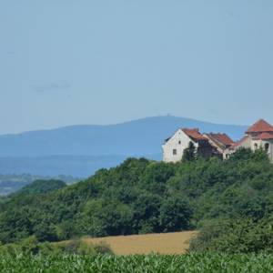 Konradsburg/Klosterkirche St. Sixtus, Ermsleben