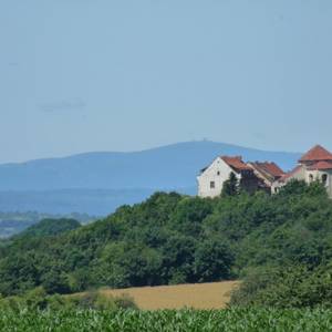 Konradsburg castle / abbey chruch of St Sixtus, Ermsleben