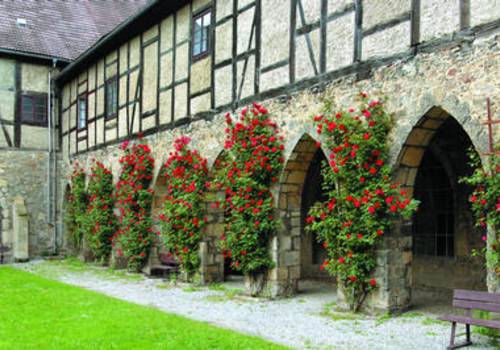 zisterzienserkloster_blankenburg_2.jpg ( © Foto: IMG, FOTO-Design Werner Klapper)