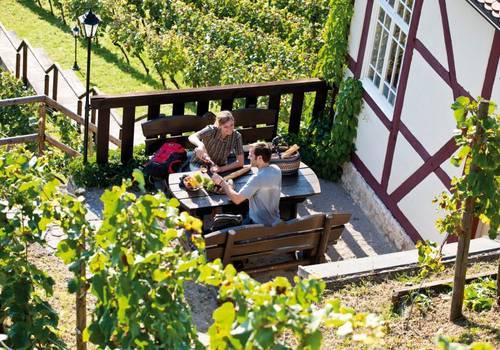 Pause in den Herzöglichen Weinbergen