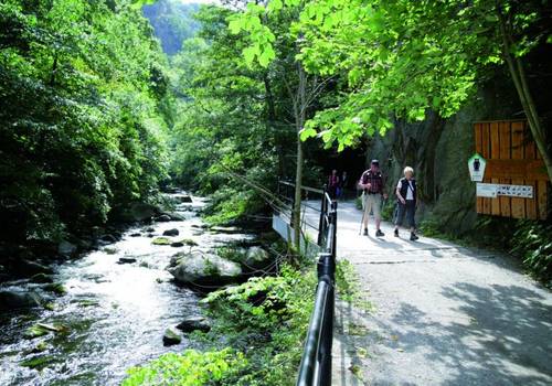 Wandern auf dem Selketal-Stieg im Harz